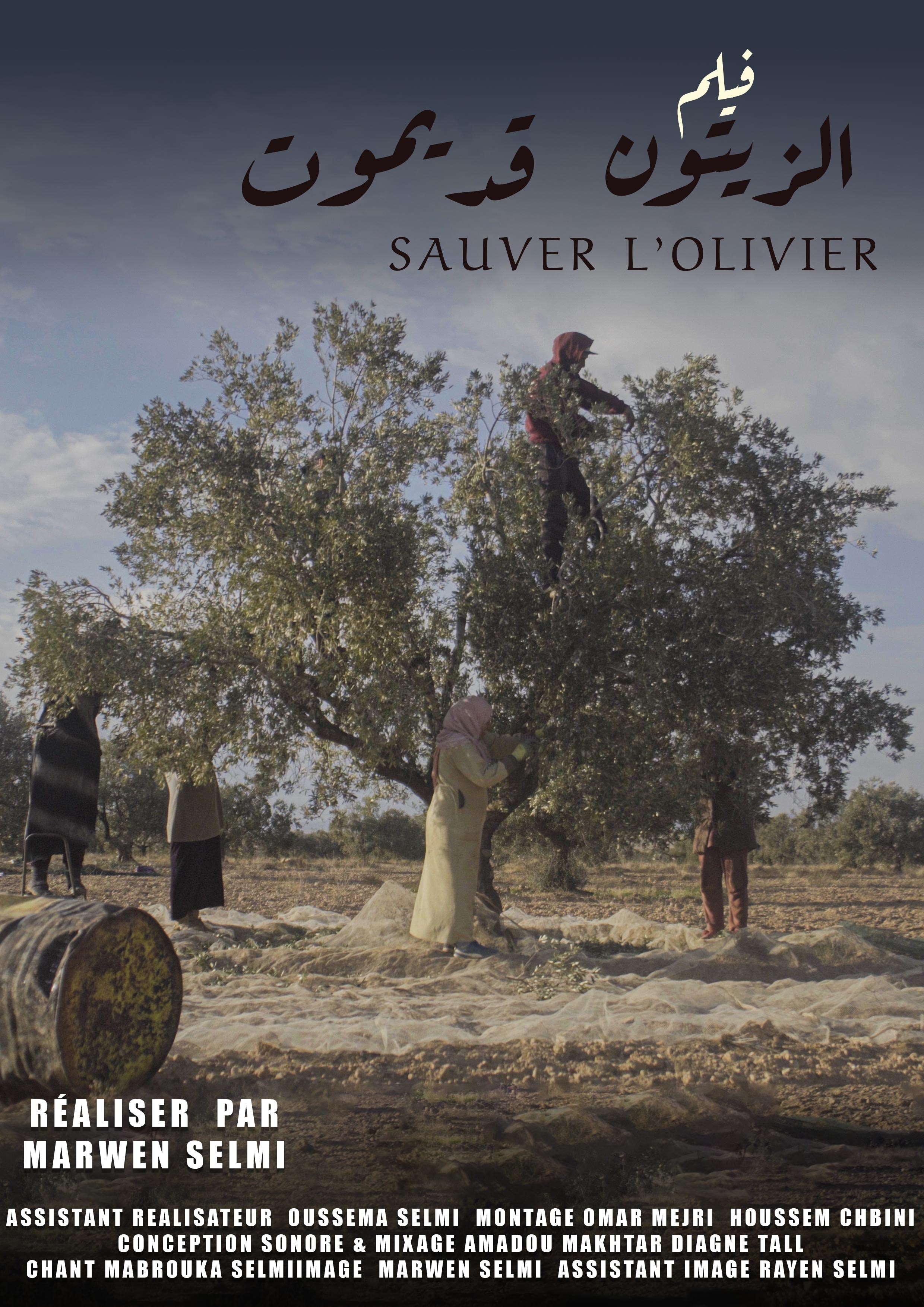 The olive tree may die