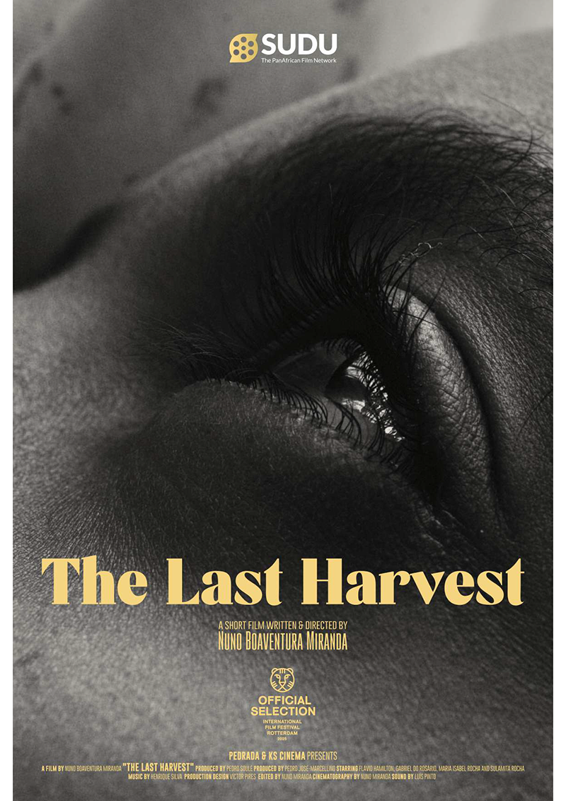 A ÚLTIMA COLHEITA