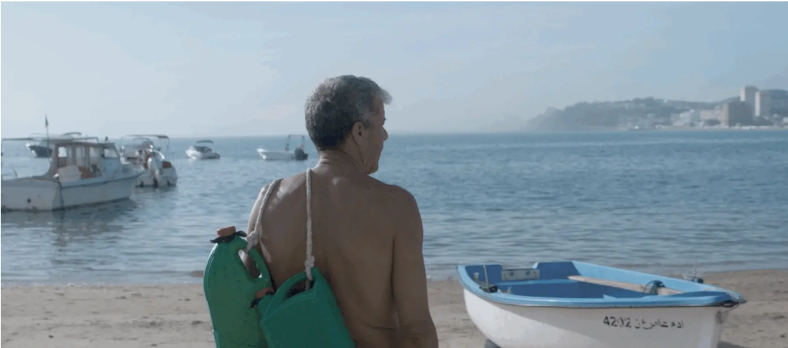 LA CONSPIRATION DES TORTUES